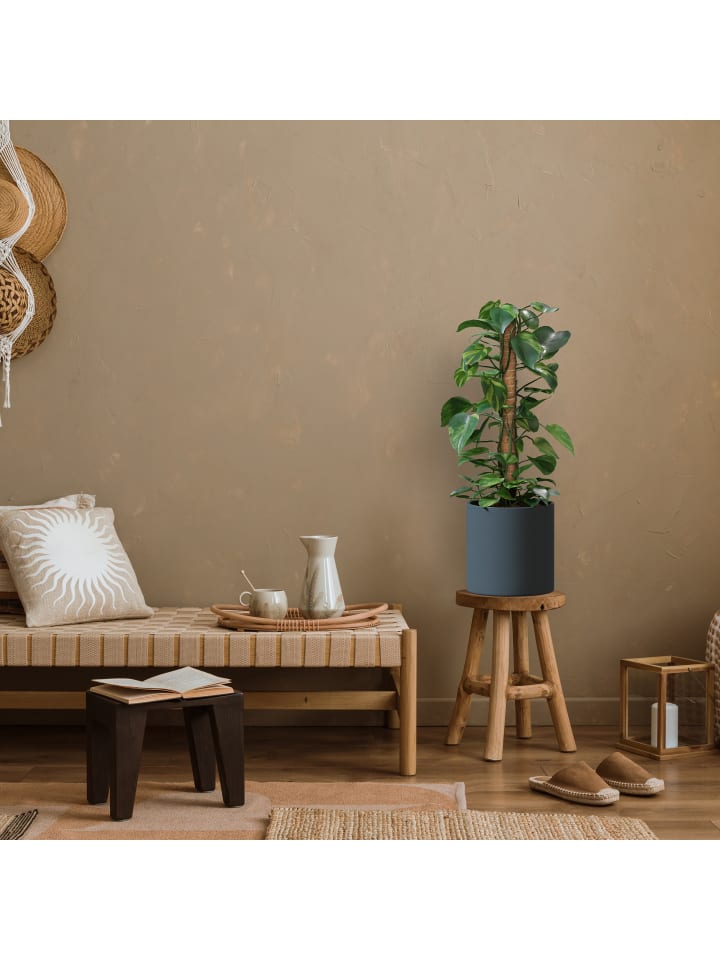 relaxdays 5 x Kokosstäbe in Natur - 60 cm günstig kaufen onesize