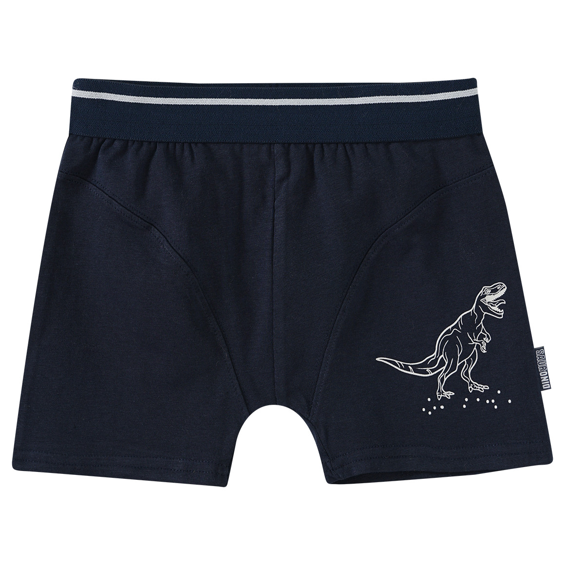 2 Jungen Boxer mit Dino-Motiv