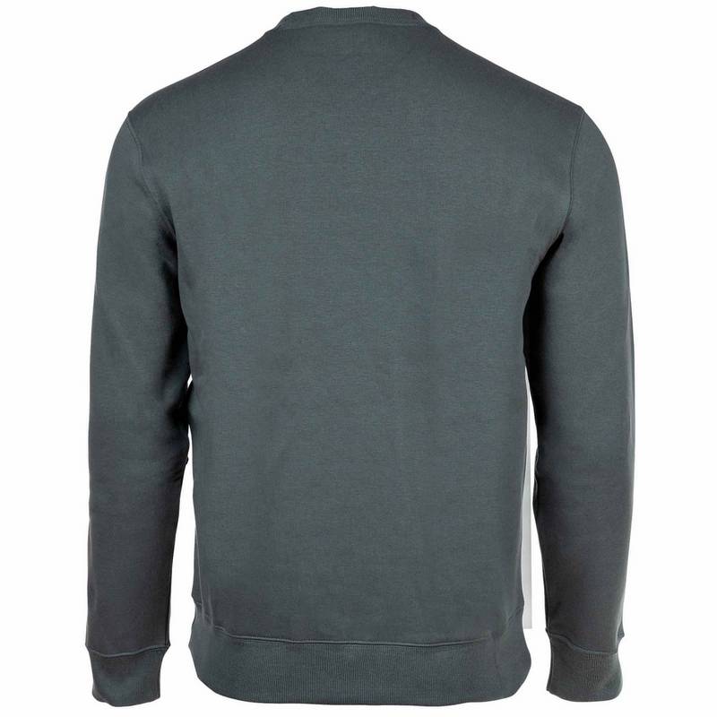 CHAMPION Sweatshirt Sweatshirt Herren