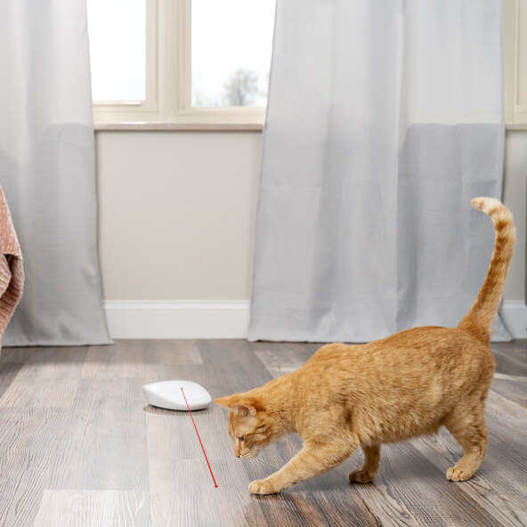 Automatisches  Katzenspielzeug Laser Tail