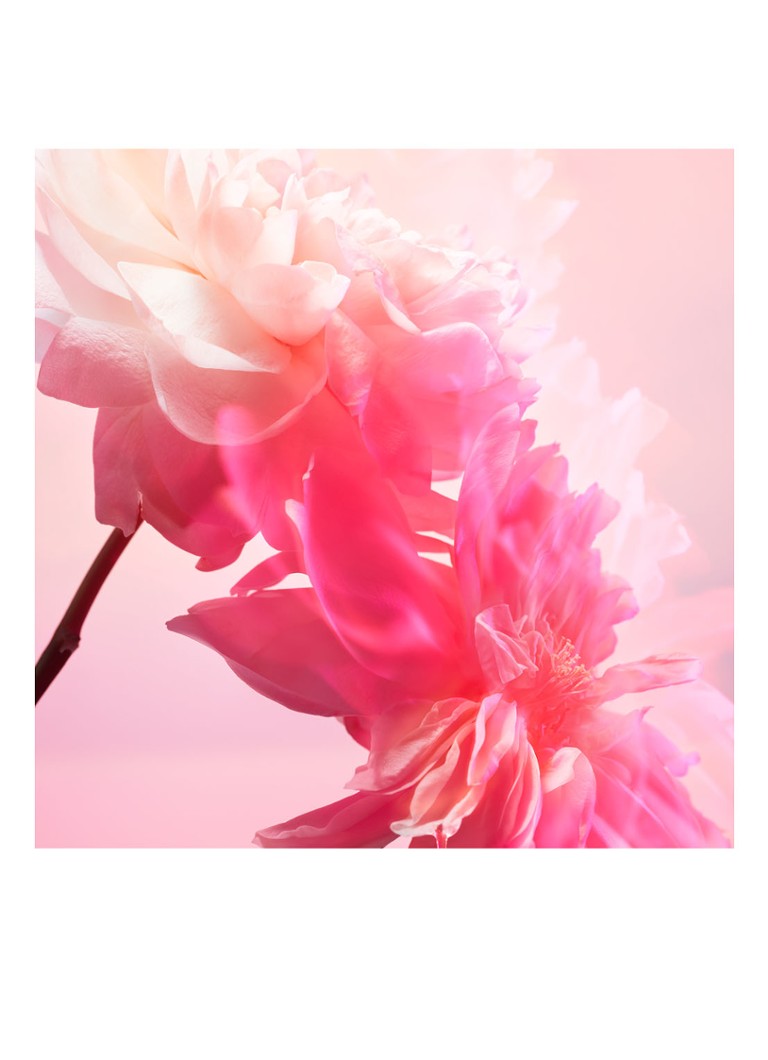 Charlotte Tilbury Love Frequency woda perfumowana – rozmiar podróżny