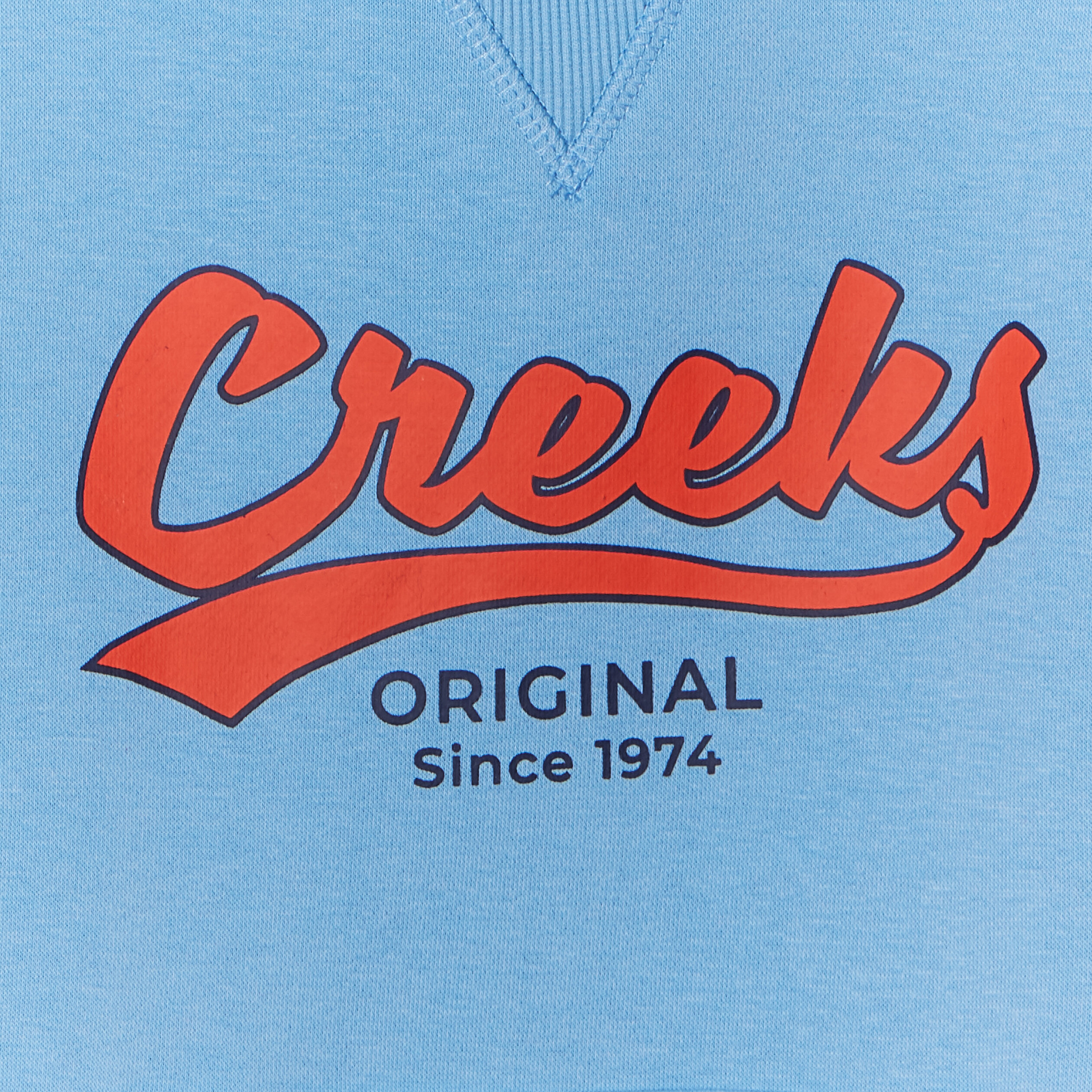 Sweat à capuche hoodie Creeks bleu garçon | La Halle