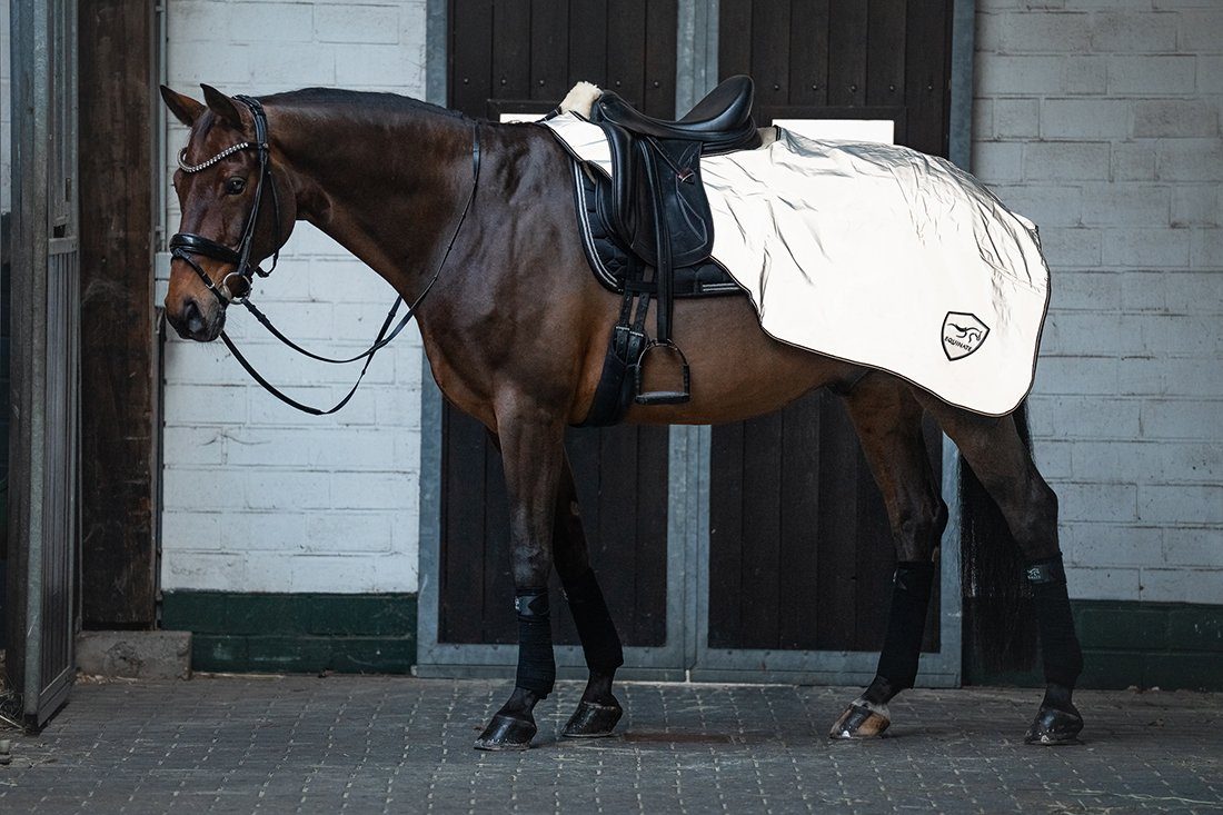 Equinate Pferde-Nierendecke reflektierende Ausreitdecke Xtreme-Visible wasserdicht und Innenfutter, atmungsaktiv
