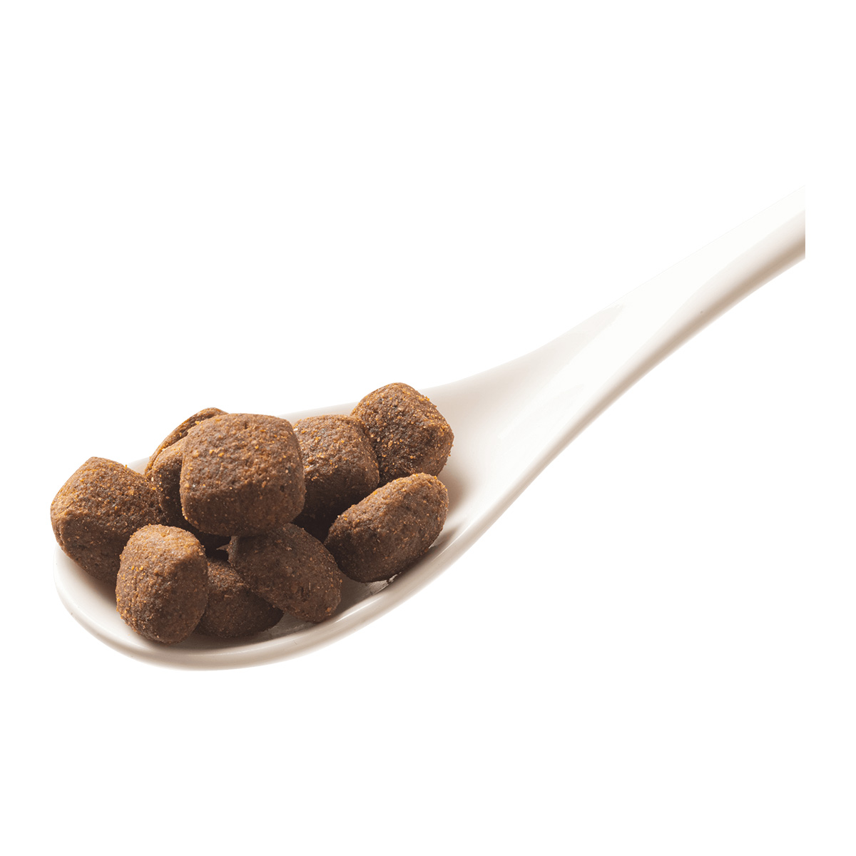 GranataPet Natural Taste Lachs & Pute günstig kaufen bei ZooRoyal