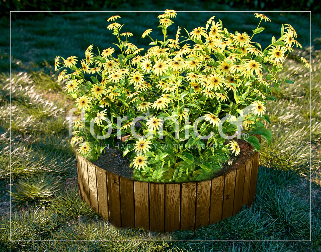 Pemicont Floranica Rollborder II Flexibler Holzzaun 203cm Höhe: 20cm Braun Imprägniert Kiefernholz Beeteinfassung Rasenkante Beetumrandungen