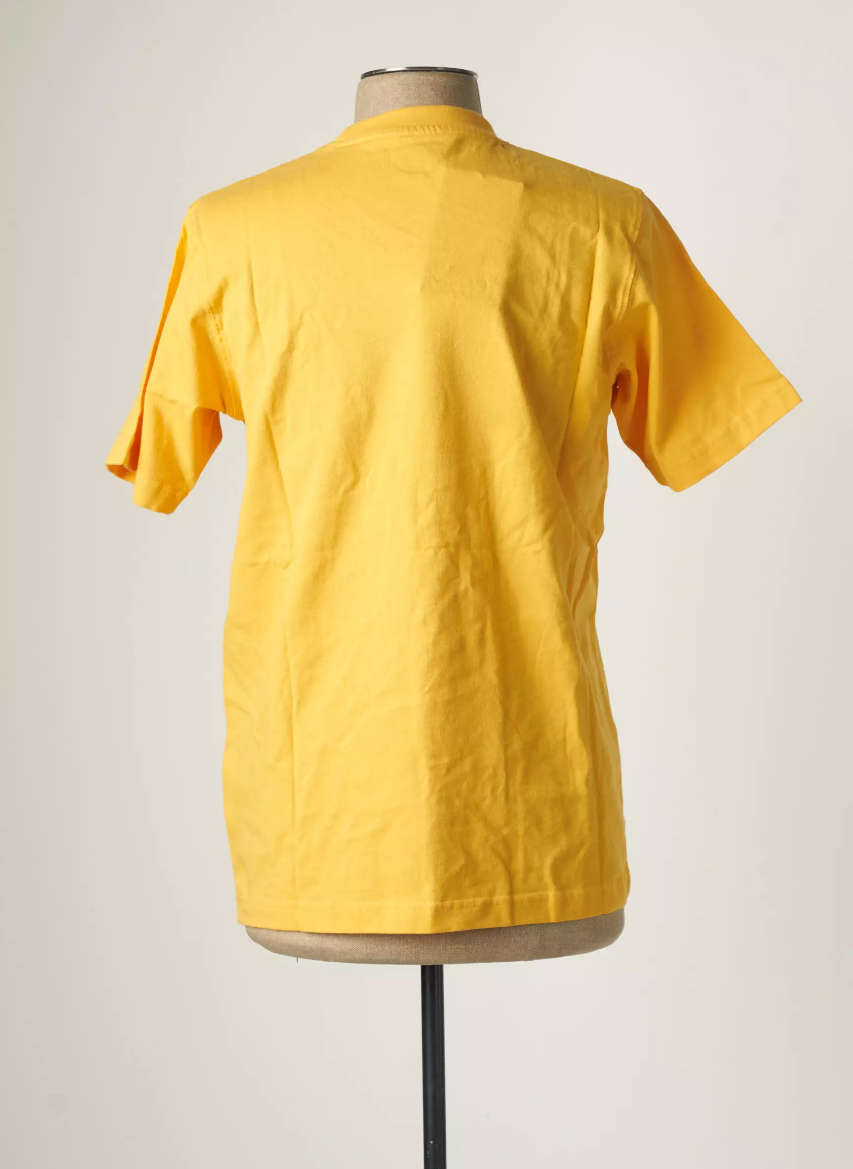 Dickies Tshirts Homme couleur jaune