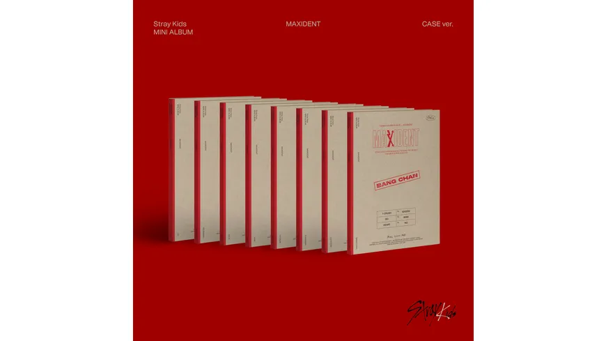 MAXIDENT (PHOTOBOOK)