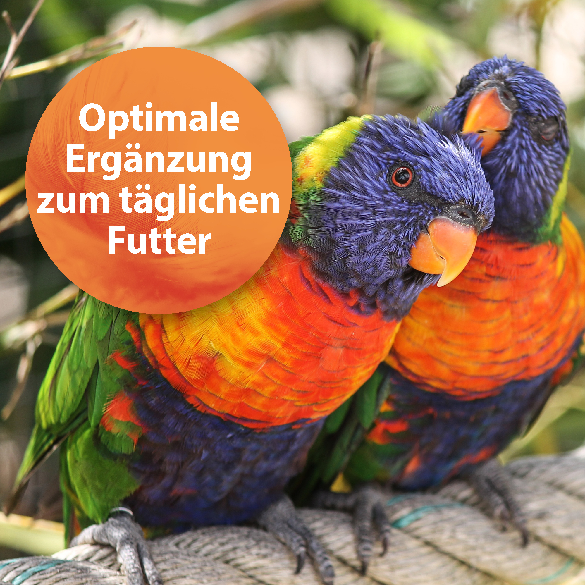 Quiko Ergänzungsfutter Quiko Forte 500g: Mineralien, Spurenelemente und Vitamine für Ziervögel