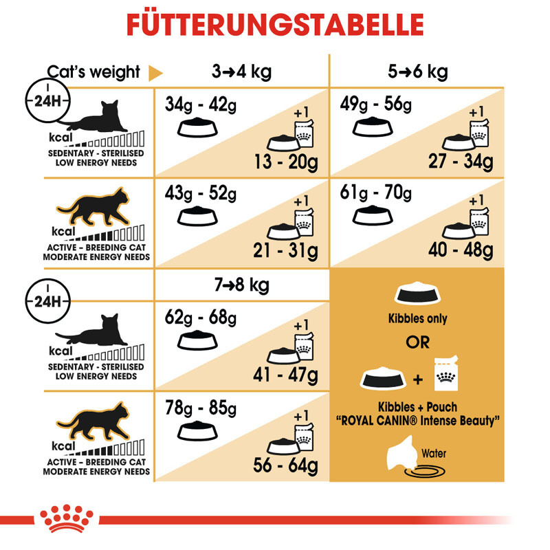 ROYAL CANIN Trockenfutter ROYAL CANIN Ragdoll Adult 2x10 kg