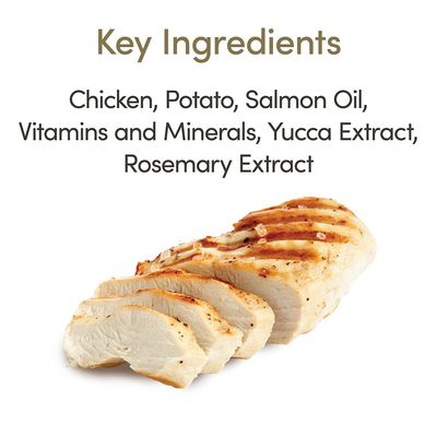 Applaws Kitten