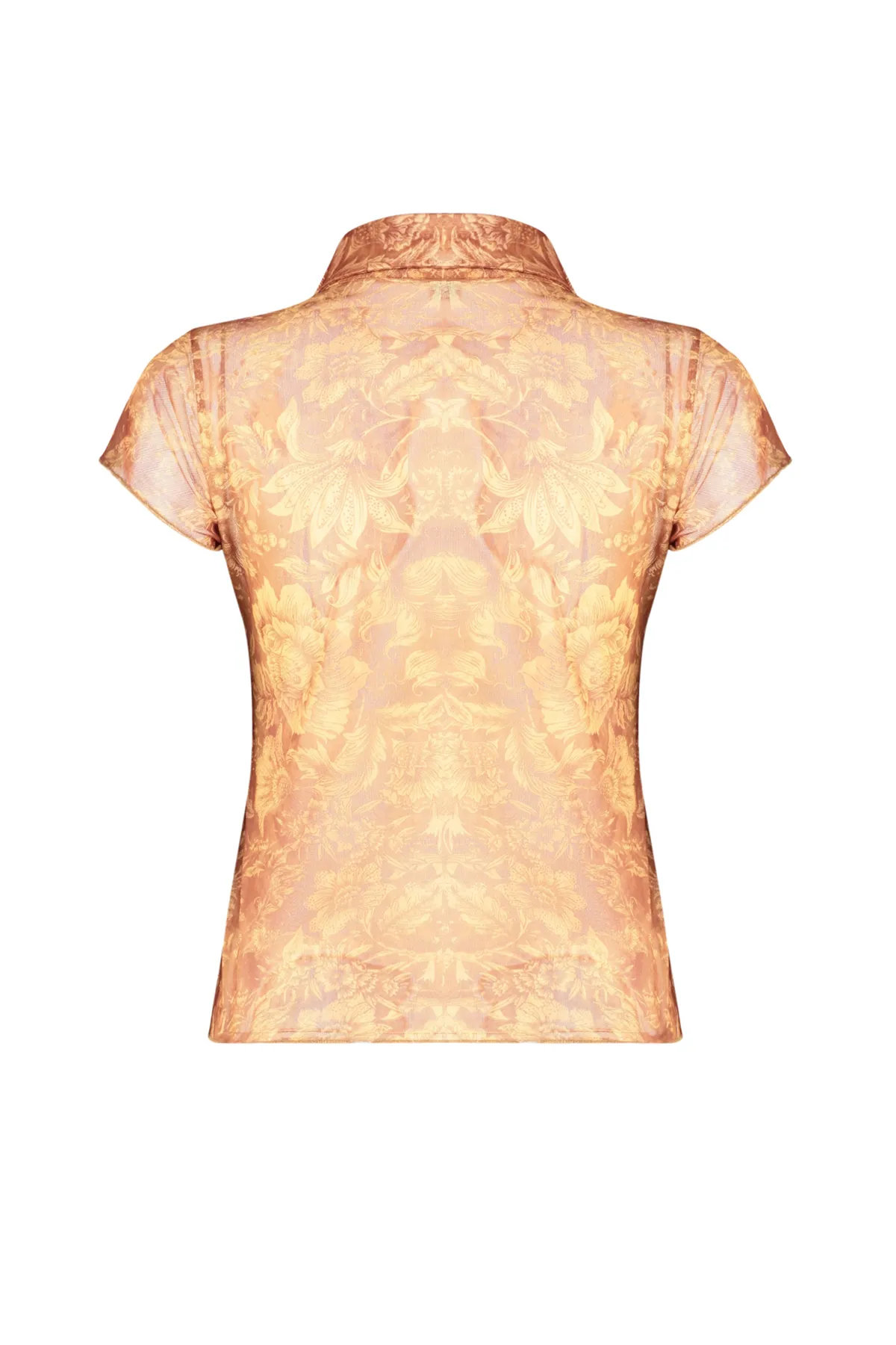 Trendyol Collection  Mehrfarbige taillierte Bluse aus Tüll-Stretch-Strick mit Hemdkragen TWOSS24BZ00164