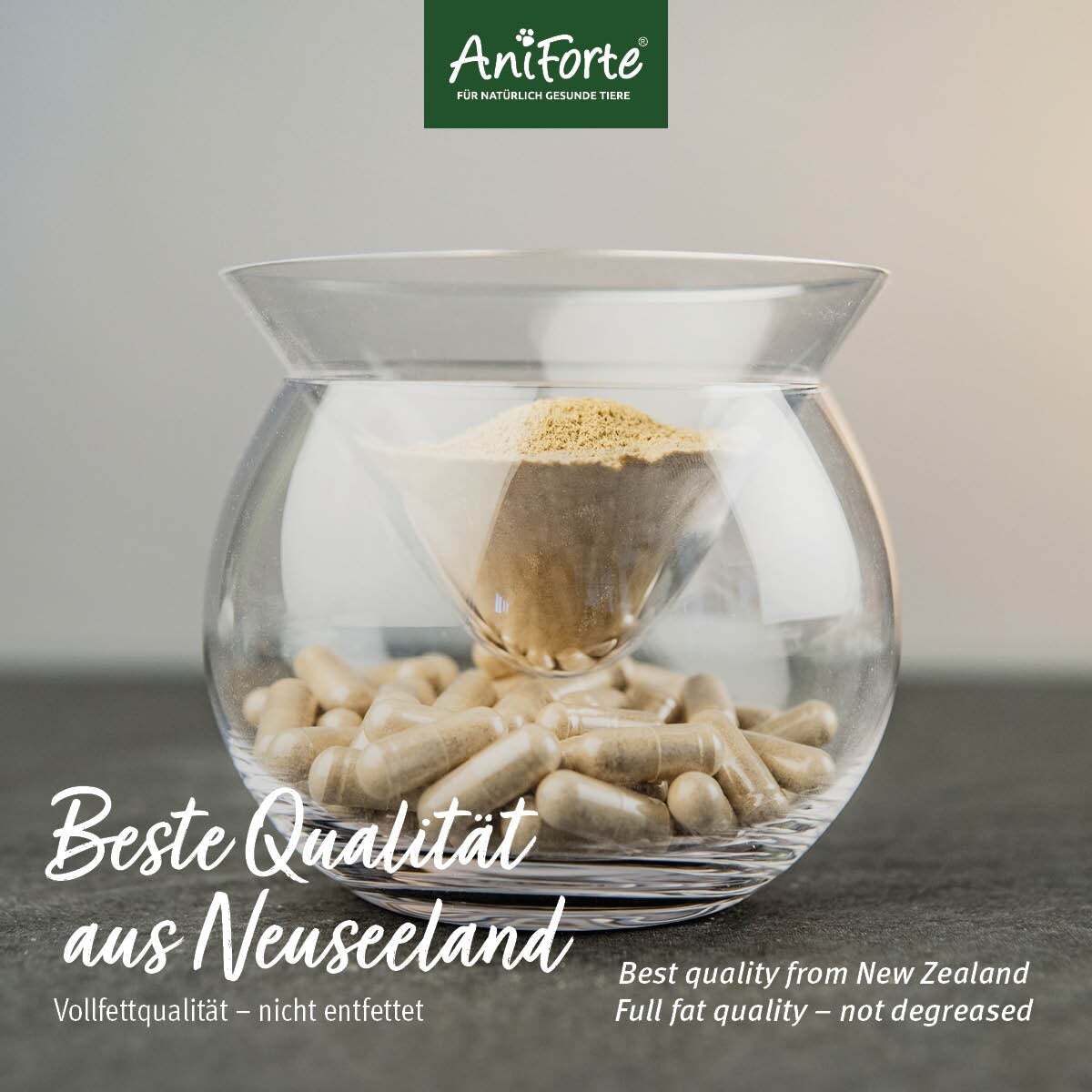 Aniforte Ergänzungsfutter & Aufzucht Aniforte Grünlippmuschel Kapseln 300 Stk