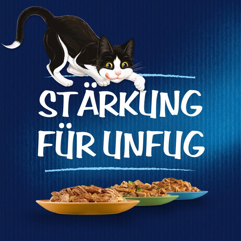 Felix Sensations Crunchy 40 x 85 g + 160 g Topping