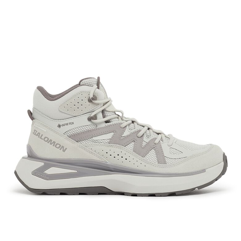Salomon Odyssey ELMT Mid GTX metal/lunroc