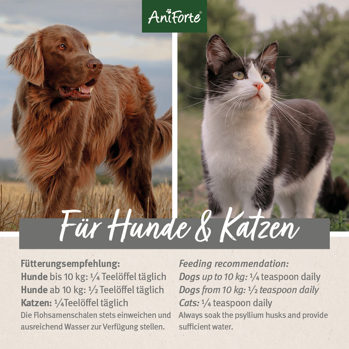 Aniforte Ergänzungsfutter & Aufzucht Aniforte Flohsamenschalen 1kg