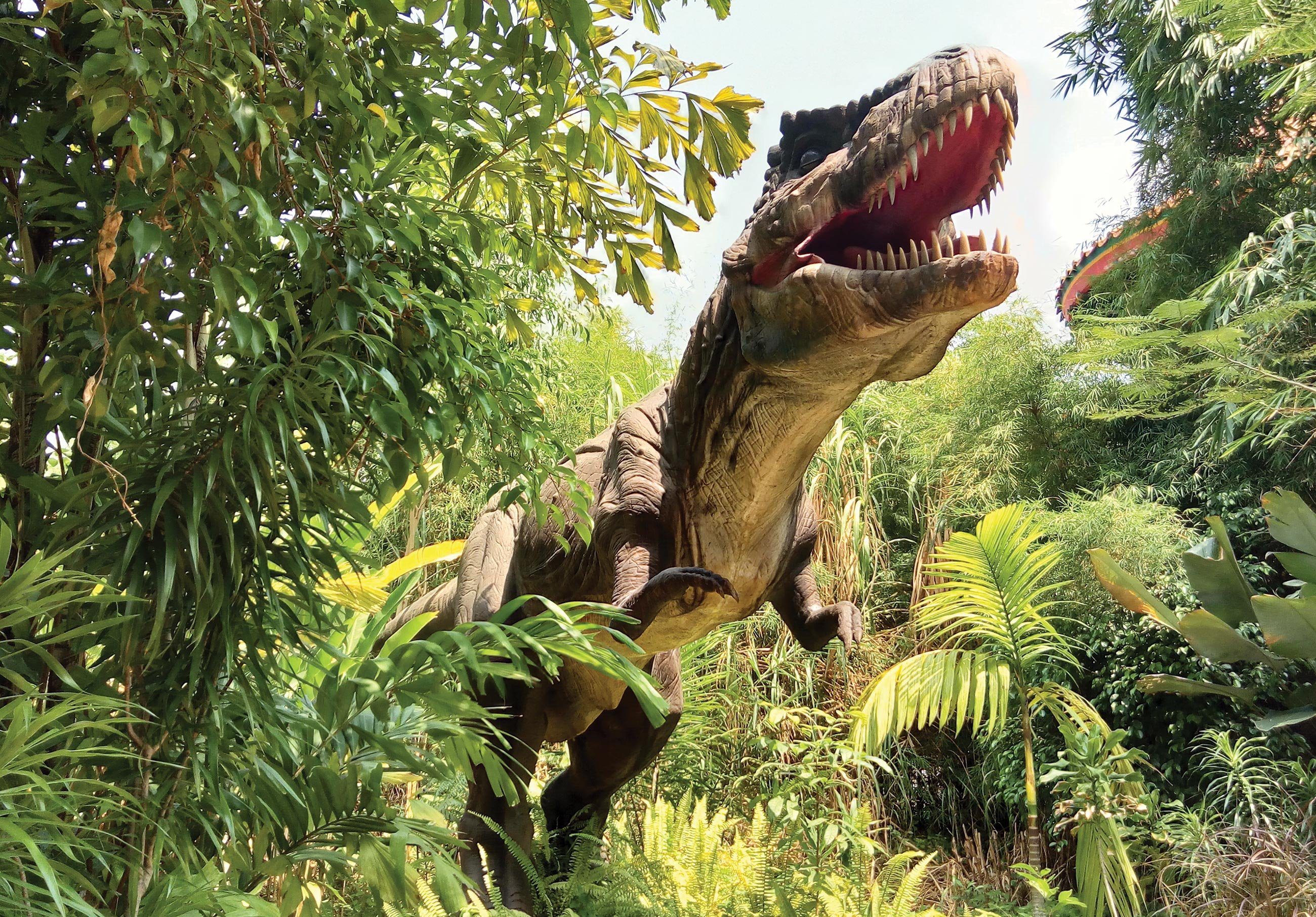 Wallarena Fototapete Kinderzimmer Jungen Dinosaurier Dschungel Vlies Tapete Vliestapete, Glatt, Kinder, Vliestapete inklusive Kleister