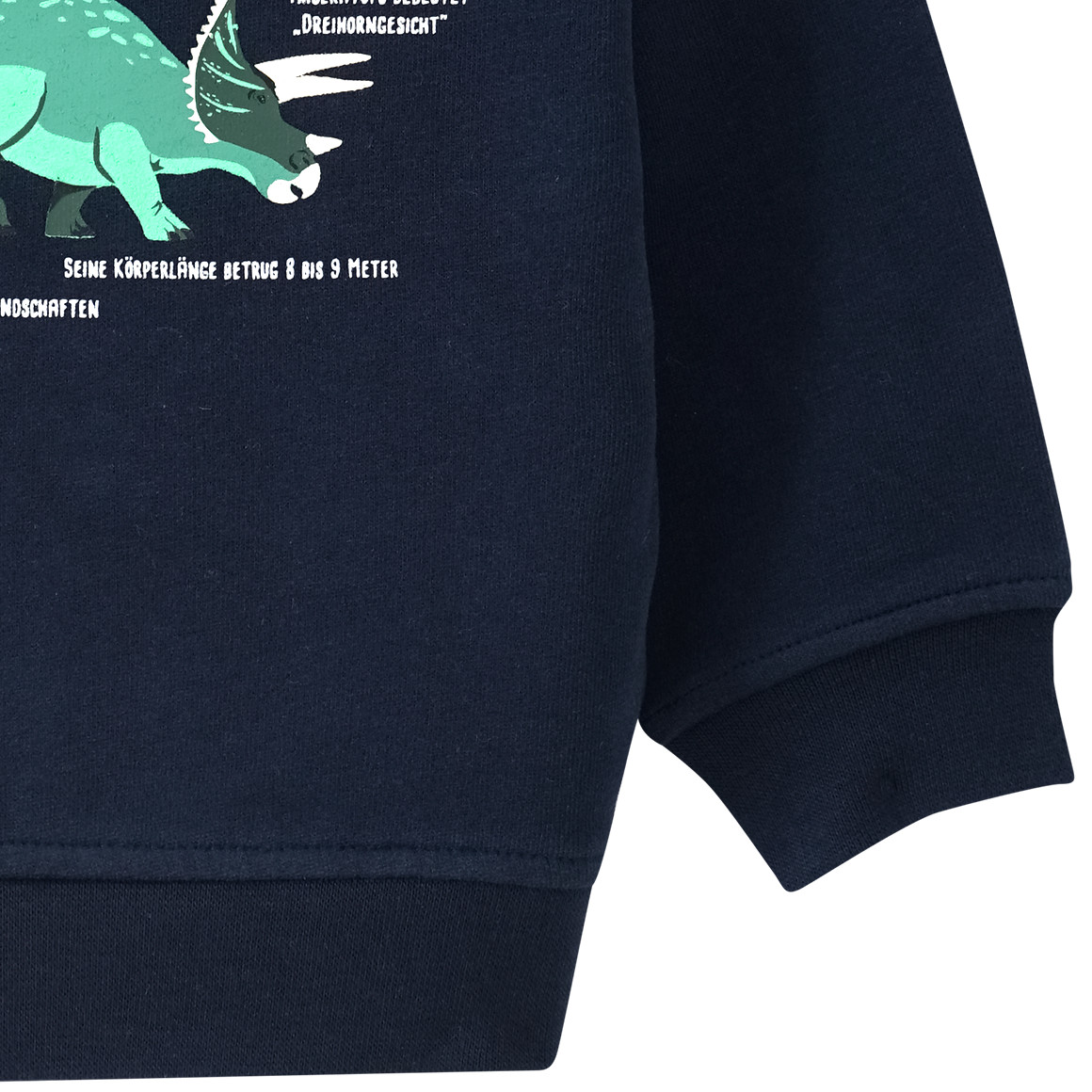 Baby Sweatshirt mit Triceratops