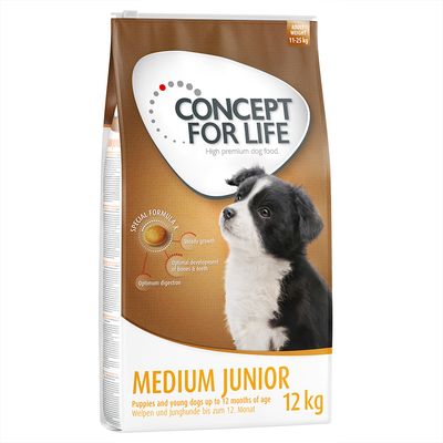 Sparpaket Concept for Life 2 x Großgebinde