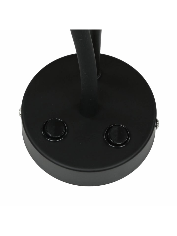 Licht-Erlebnisse Wandlampe in Schwarz günstig kaufen onesize