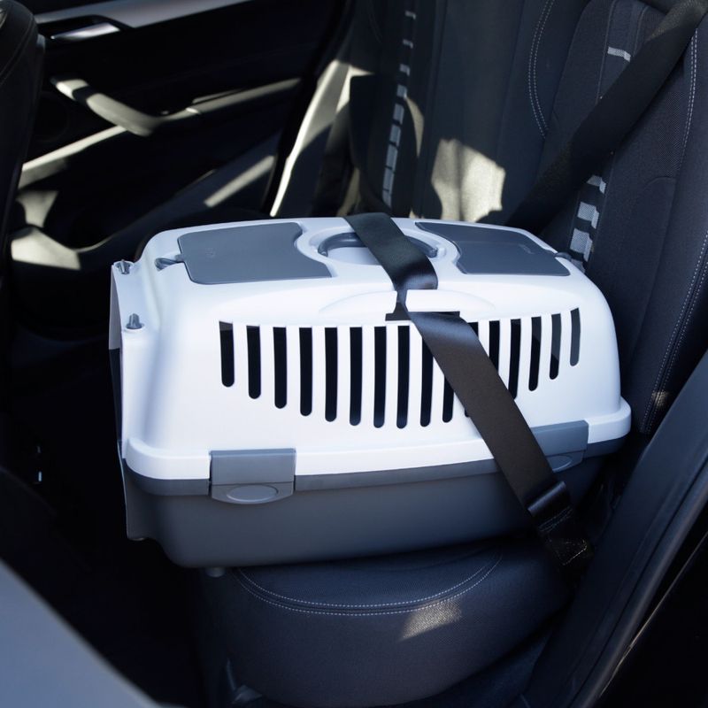 Kerbl Pet Transportbox Gulliver zu TOP-Preisen