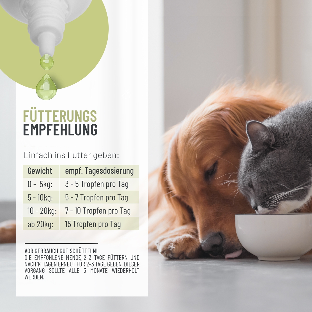 REAVET Ergänzungsfutter & Aufzucht REAVET Wormwood Mix Liquid 50ml