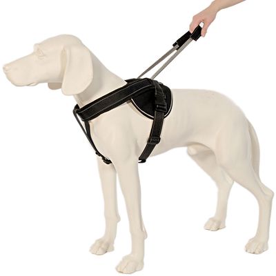 Patentopet Dog Control Geschirr schwarz