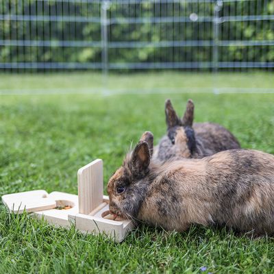 Kerbl Pet Denk- & Lernspielzeug Snackbox