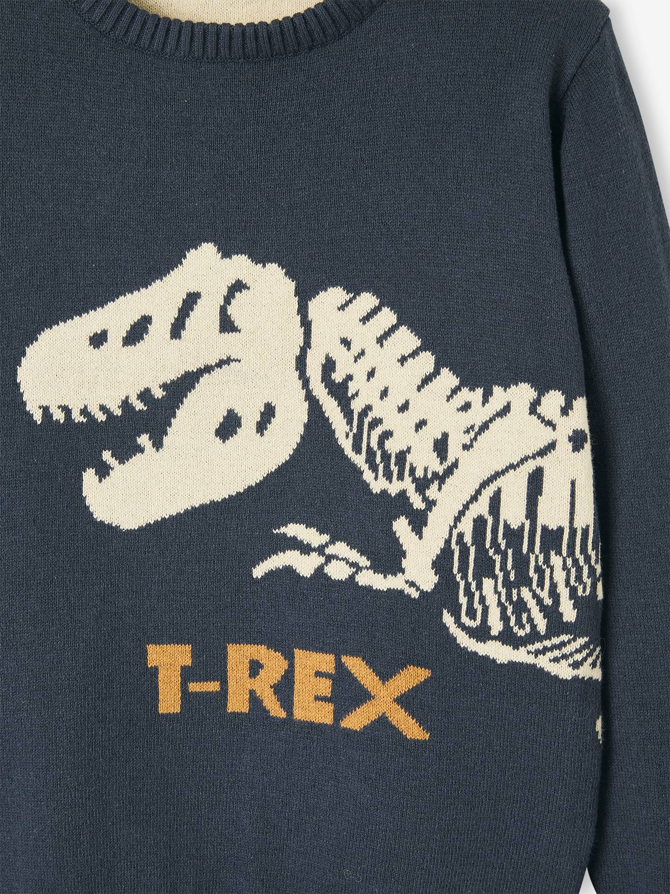 Vertbaudet Jungen Pullover, T-Rex Oeko-Tex - marine
