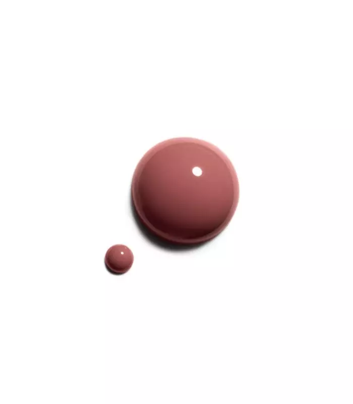 LE VERNIS Couleur Et Brillance Longue Tenue