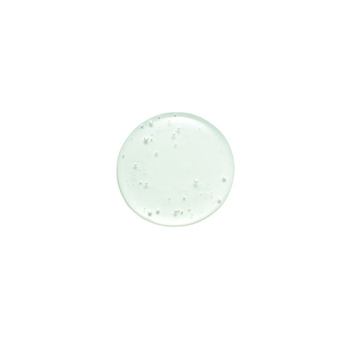 Seaweed Shampoo