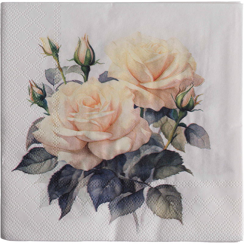 Vie Eco Servietter 20-pk 33x33 cm