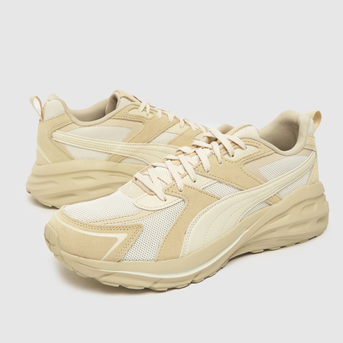 Superge PUMA hypnotic ls v bež barvi
