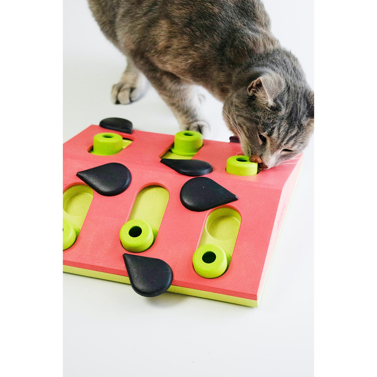 Puzzle & Play Melon Madness Intelligenzspielzeug