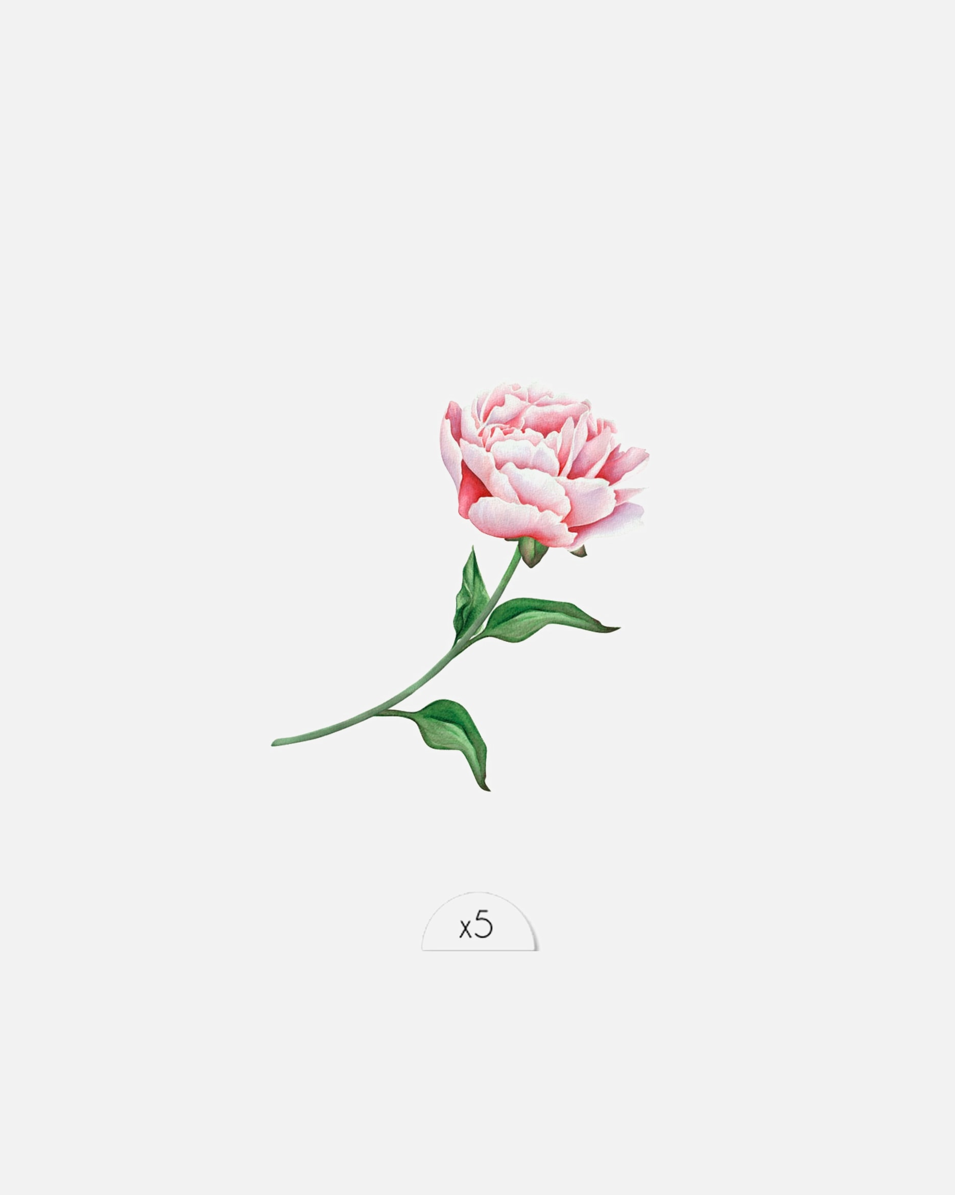 Sioou Rose