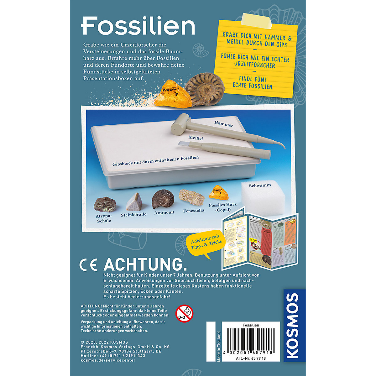 Ausgrabungs-Set Fossilien