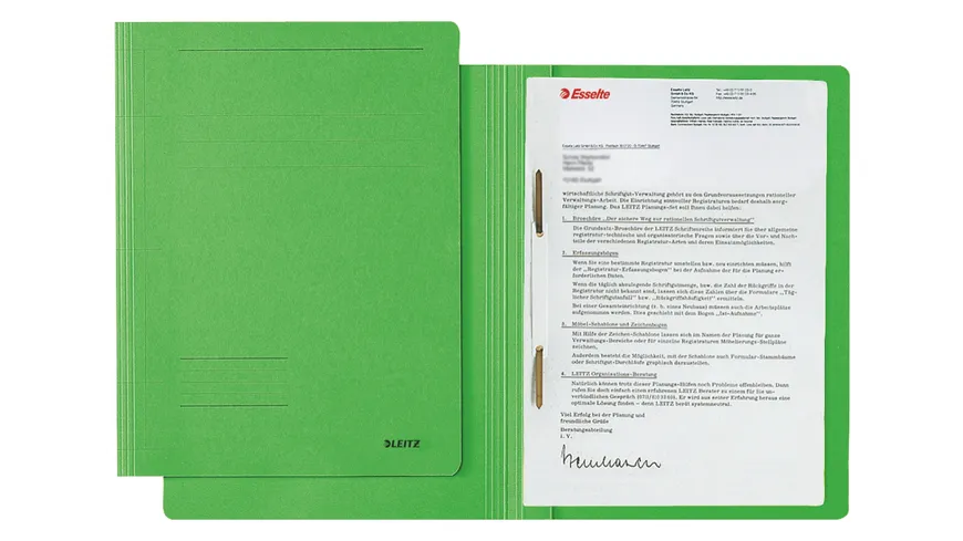 LEITZ Pappschnellhefter Fresh A4 grün grün