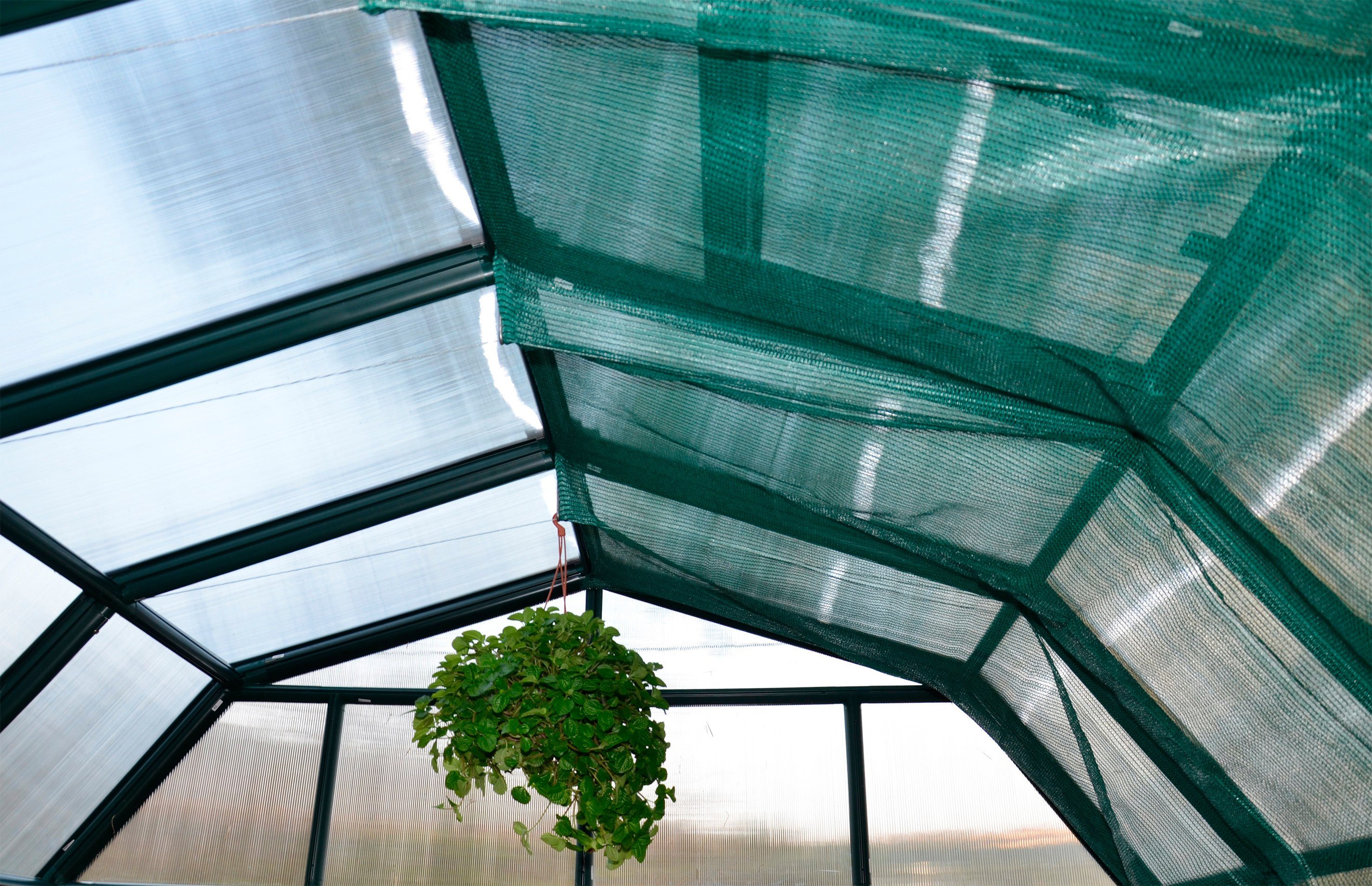 Rion Sonnensegel Schattennetz, BxT: 240x260 cm