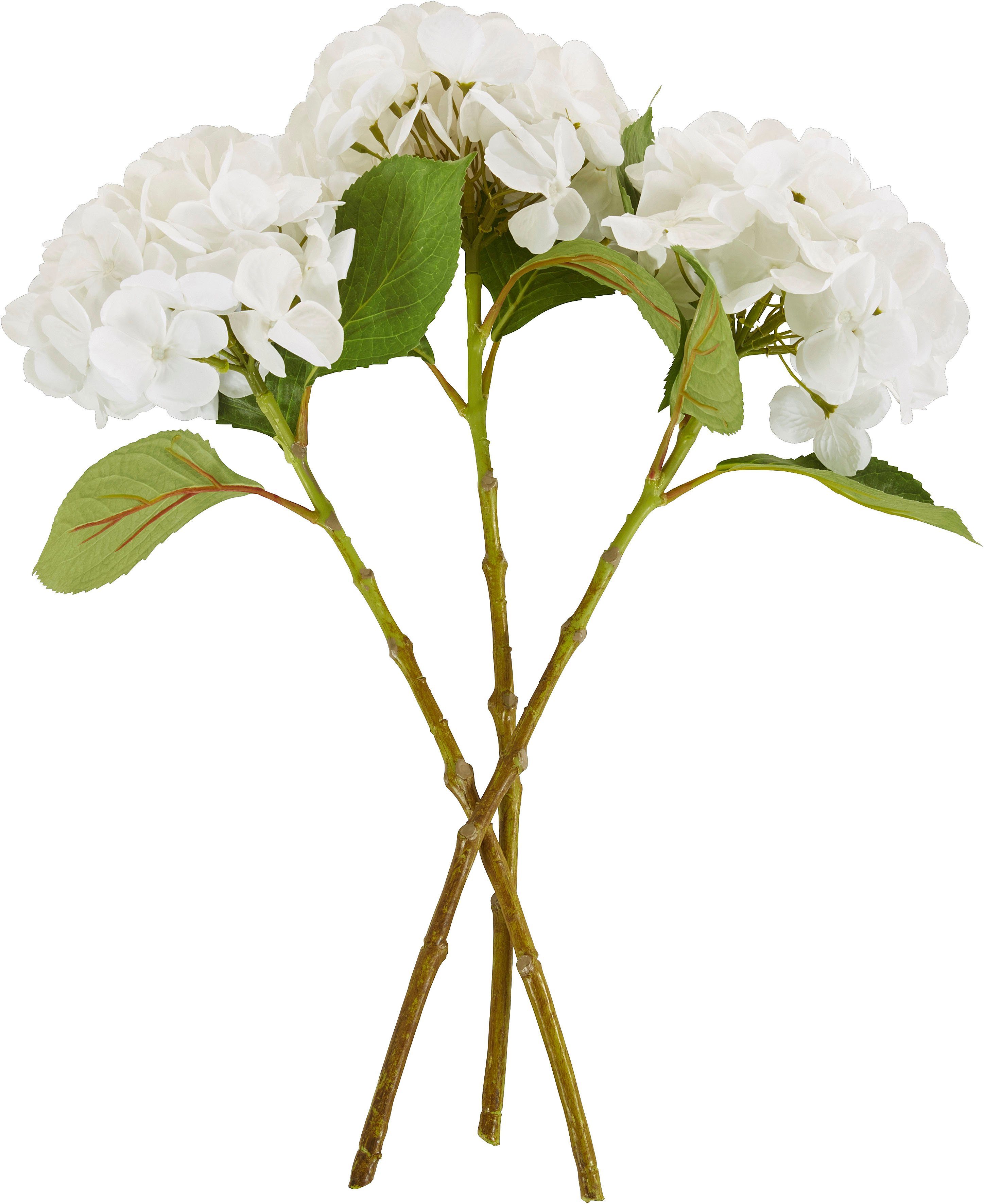 Kunstblume Navassa Hortensie, Timbers, Höhe 48 cm, 3er-Set