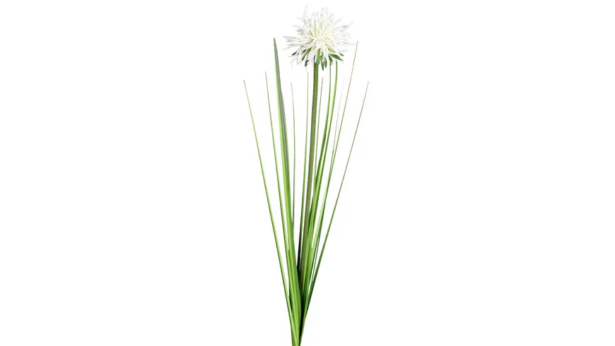 Gras mit Fruchtstand 90cm cream