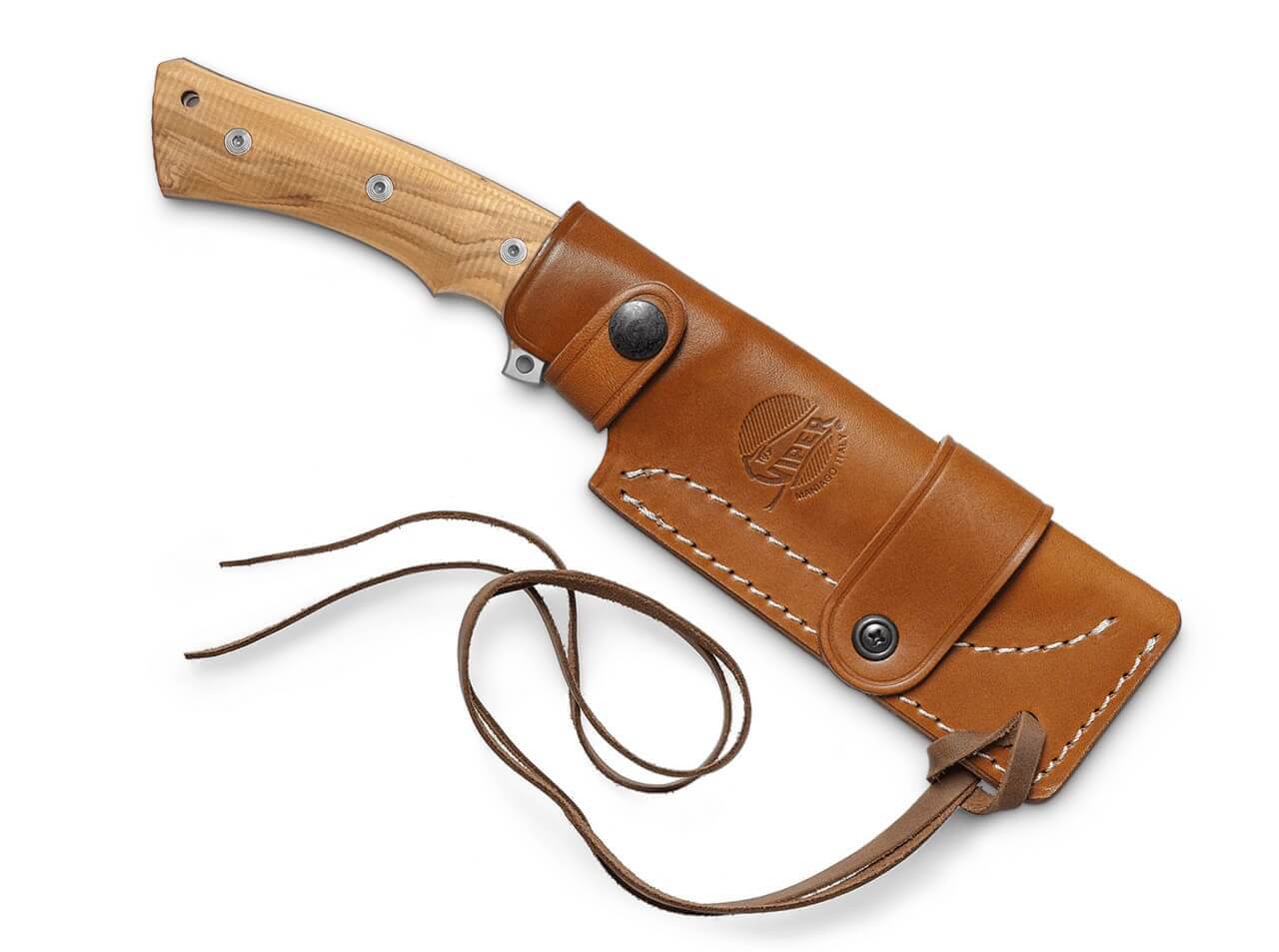 Gianghi Olive