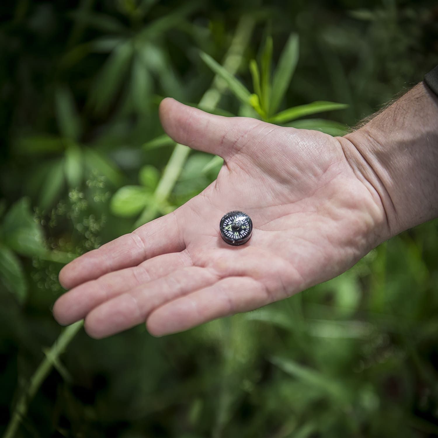 Button Compass