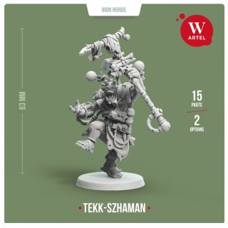 Tekk-Szhaman of Iron Horde