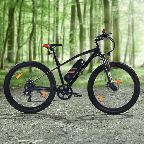 E-Mountainbike R6 Neo 26