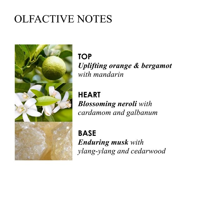 Hand Sanitiser Gel