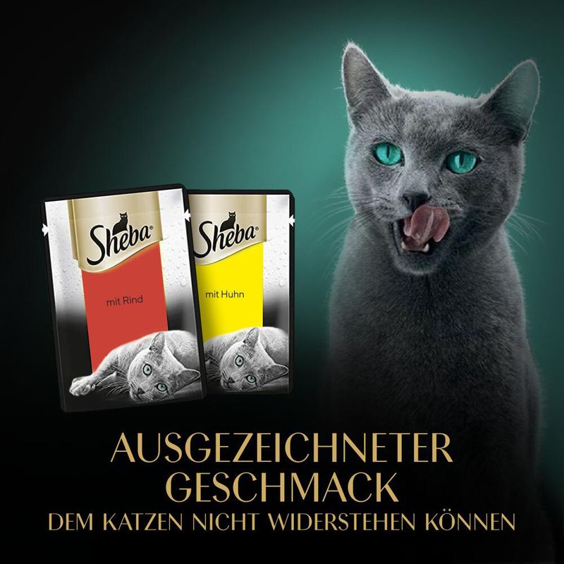Sparpaket Sheba Fresh & Fine 12 x 50 g zu TOP-Preisen | bitiba %