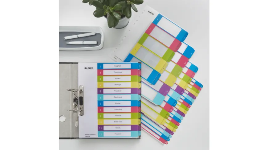 LEITZ Register PP, PC-bedruckbar A4 überbreit WOW 12 Taben