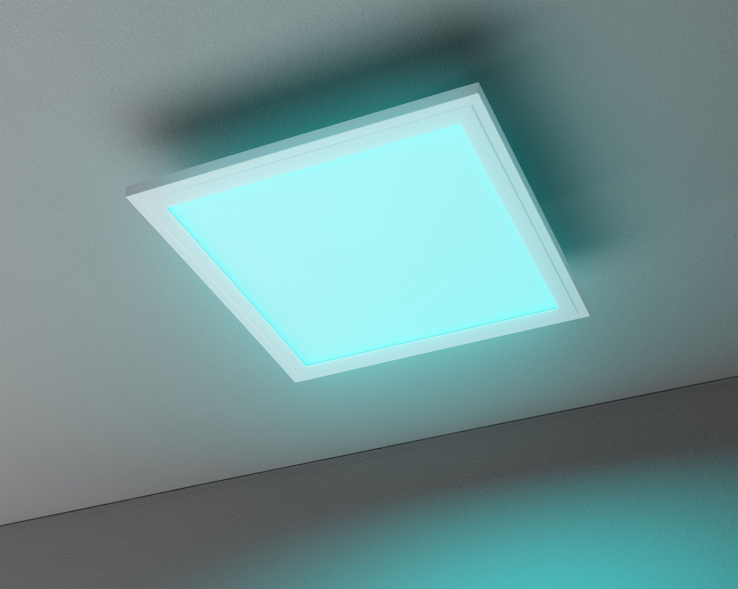 casa NOVALED-Panel 1flg