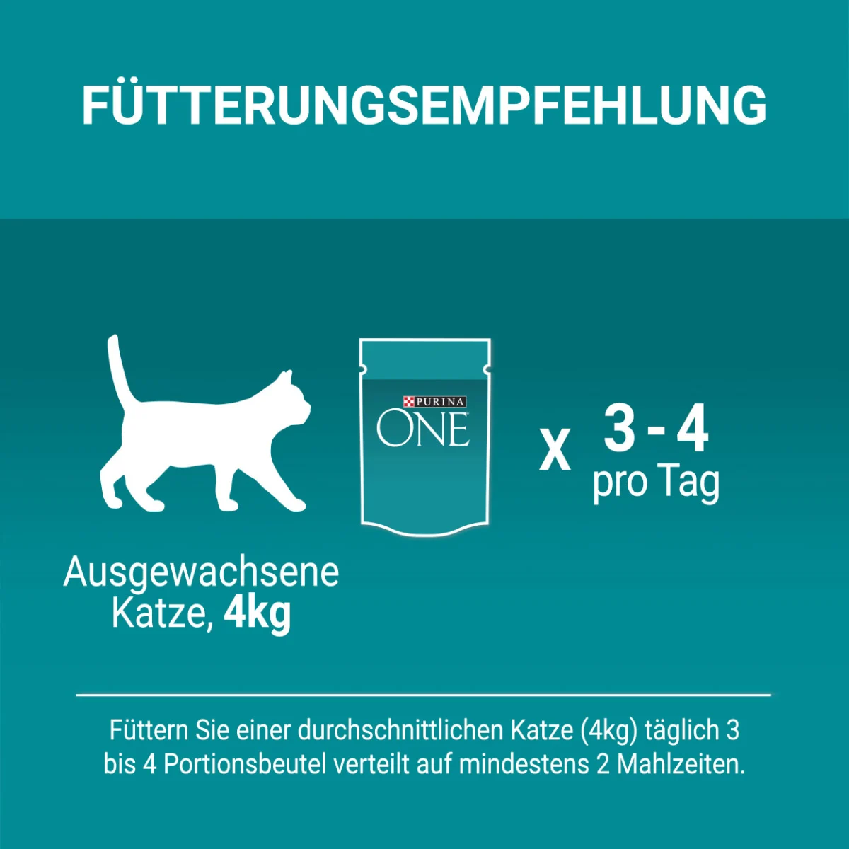 PURINA ONE Adult in Sauce Sorten-Mix 40x85g kaufen
