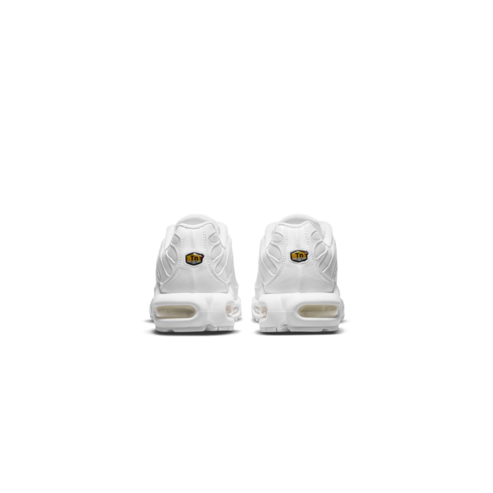 Nike Air Max Plus DM2362-100 / weiss