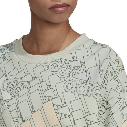 DAMEN SWEATSHIRT W BLUV Q3 SWT G